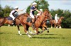 UKPA NC SAT_2191